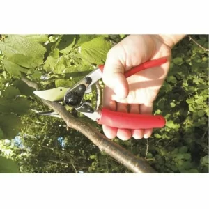 Baum-, Reb-, Gartenschere Felco 12 10